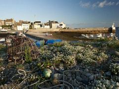 129 ILE DE MOLENE_000061